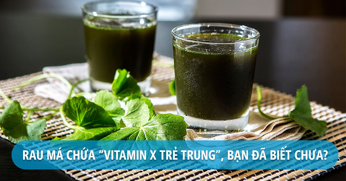 Hạt giống rau má gói 200 hạt- 1.5gr, rau má ta, rau má hương