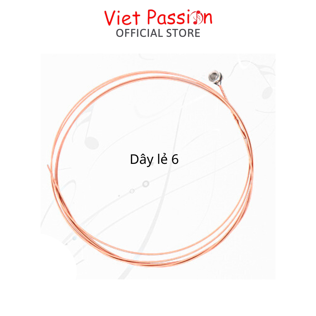 Dây lẻ đàn guitar acoustic chất lượng dây sắt đàn ghita acoustic Viet Passion HCM