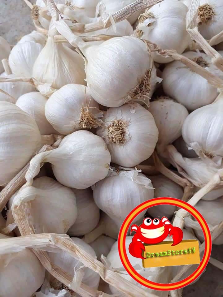 Tỏi Lý Sơn