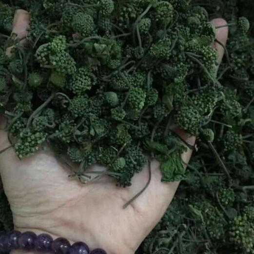 100g nụ hoa tam thất