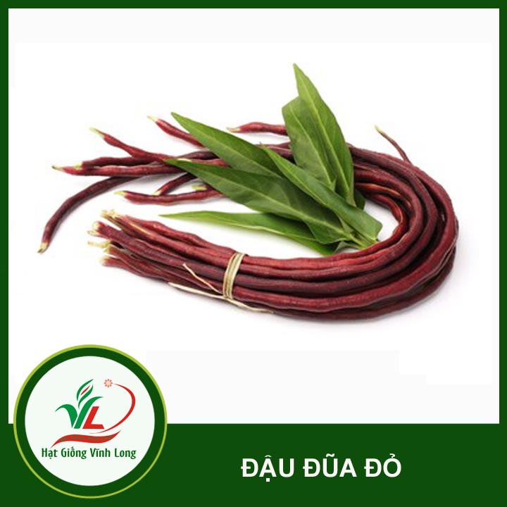 Hạt giống Đậu đũa tím RD 755 - 10g