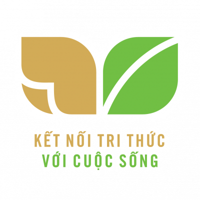 Bài Tập Mĩ Thuật Lớp 6 Kết Nối Tri Thức