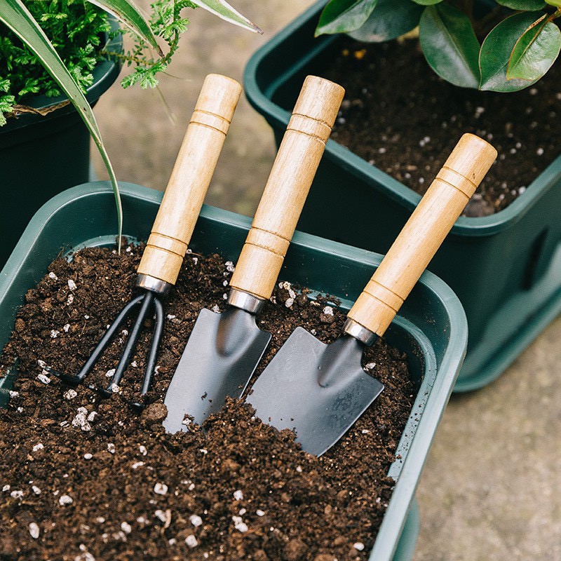 Bộ dụng cụ làm vườn mini 3 món tiện dụng nhỏ gọn dễ dùng Trồng hoa, Cây cảnh, Rau củ quả sạch