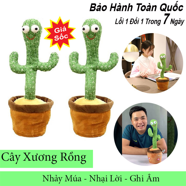 Cây xương rồng nhảy múa nhại giọng hát 120 bài nhạc việt nam, đồ chơi xương rồng biết nói biết hát vui nhộn đáng yêu…