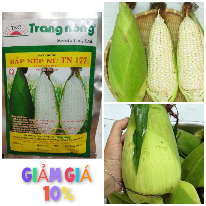 100gr hạt giống bắp nếp nù trang nông tn177