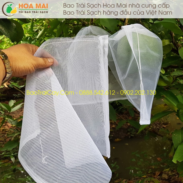100 túi bao bưởi 30x35 lưới mùng trơn