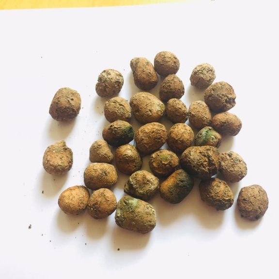 1kg Đất nung (sỏi nhẹ) trồng cây, hoa kiểng