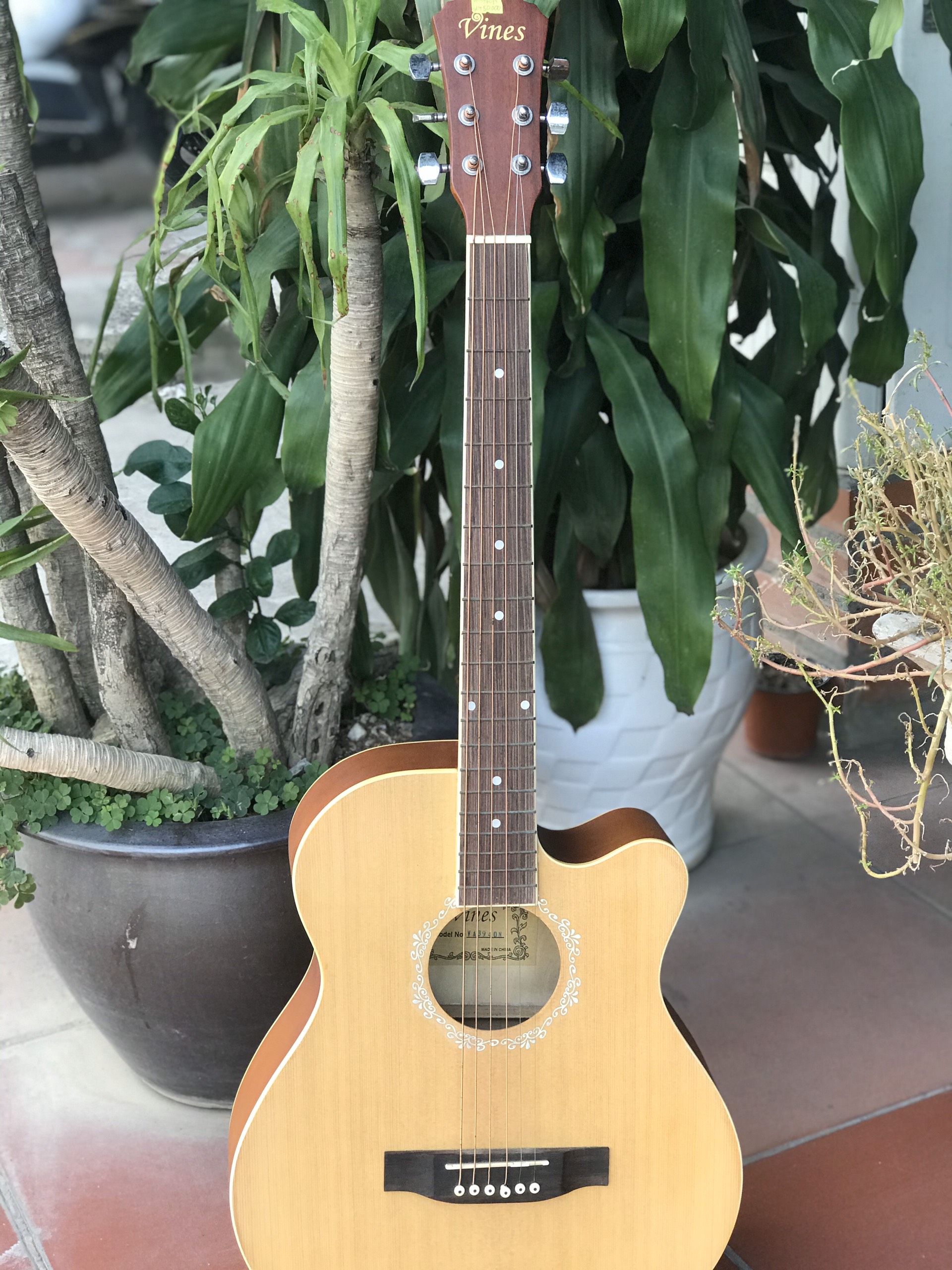 Đàn Guitar Acoustic Vines VA3940N Chính Hãng