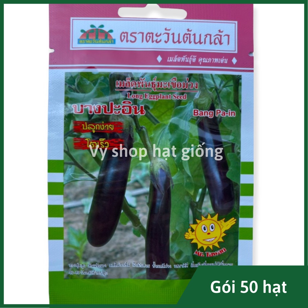 Hạt giống cà tím dài cao sản Thái Lan gói 50 hạt