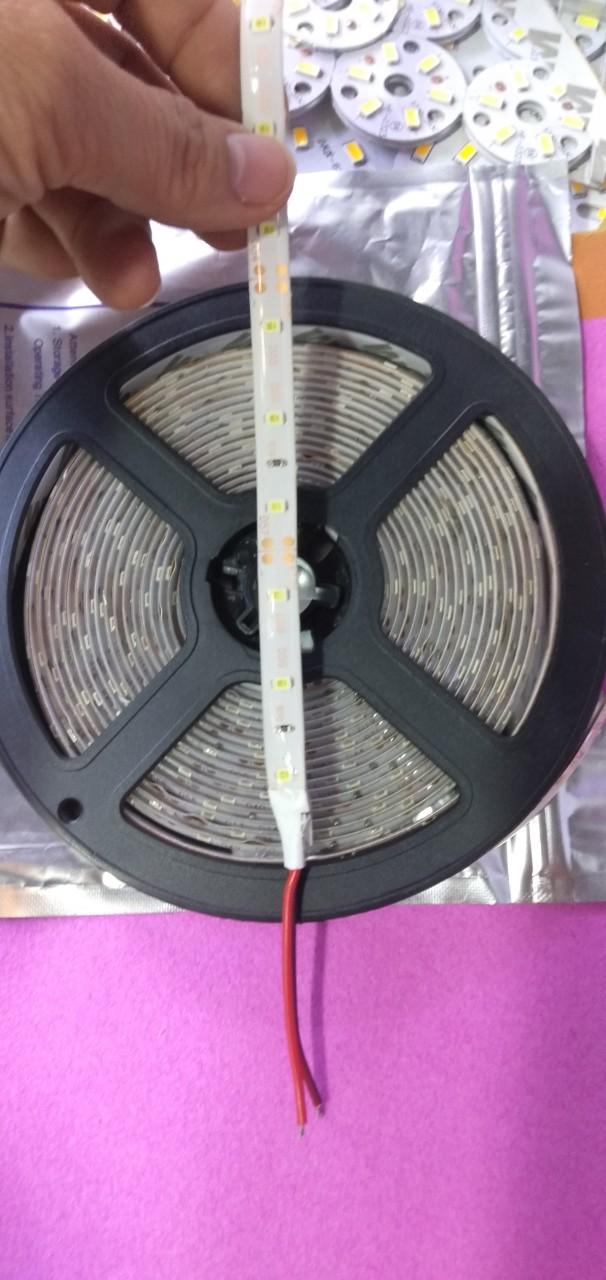 Dây led 3528 12v cuộn 5m