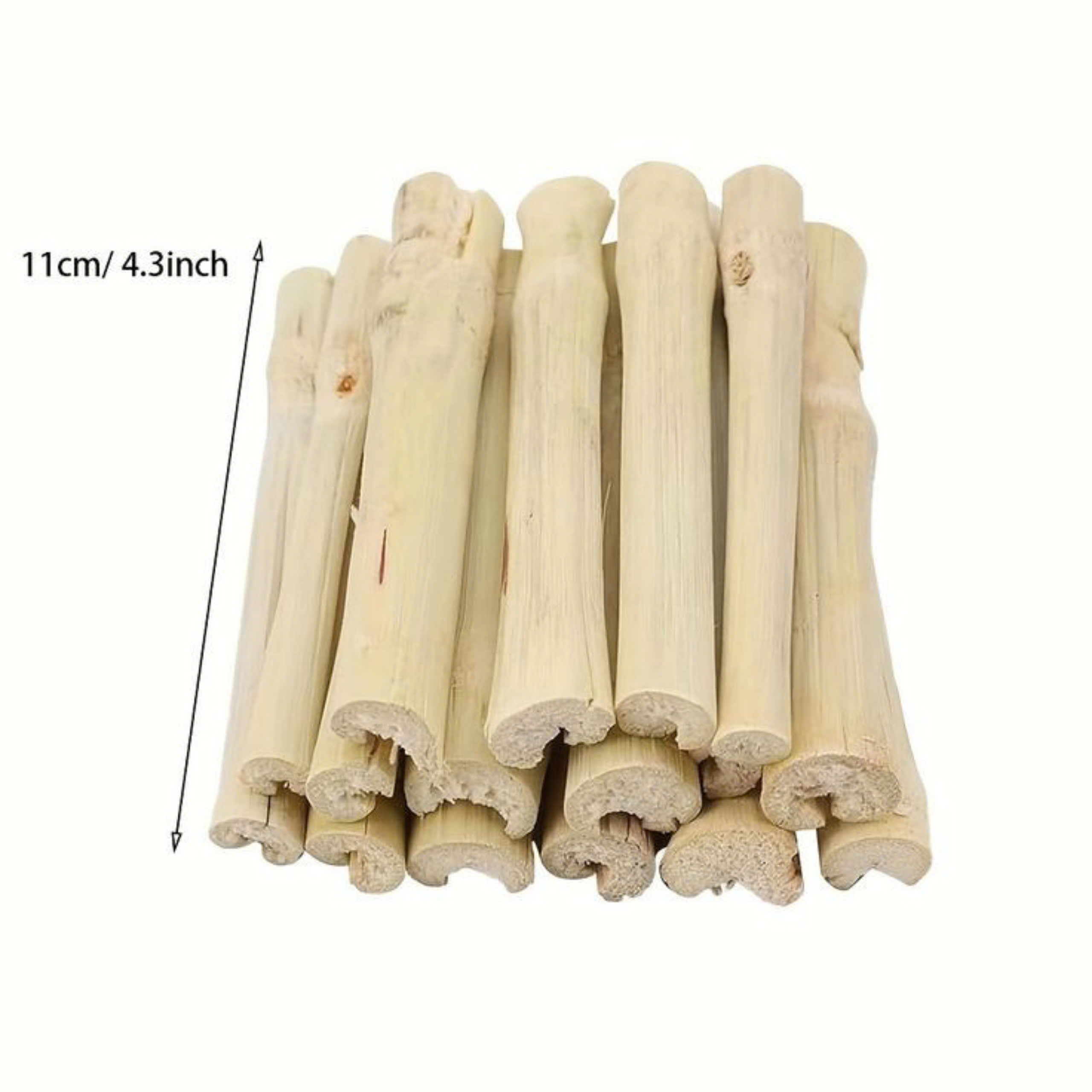 Cành Táo - Tre Ngọt Mài Răng Hamster /Sóc/Nhím Thú Nhỏ