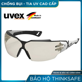 Kính bảo hộ UVEX PHEOS CX2 kính chống bụi chống hơi nước chống trầy xước thumbnail