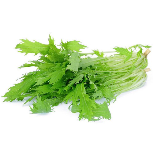 Hạt Giống Cải Thìa Rado 77 Rạng Đông Gói 20Gram