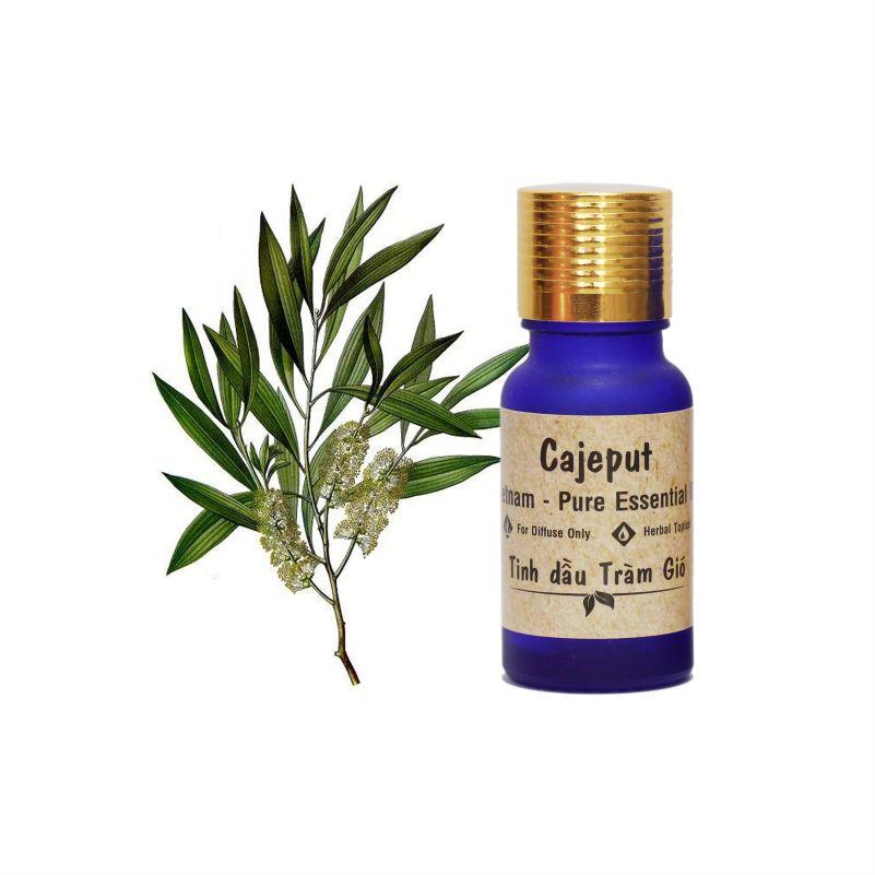 [ ÁP THÊM VOUCHER 8% ĐỂ CÓ GIÁ RẺ HƠN ] Tinh Dầu Tràm Gió Xông Phòng 10ml
