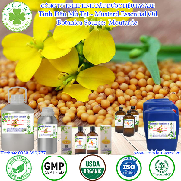 Tinh dầu Mù Tạt Mustard essential oil - 10ml