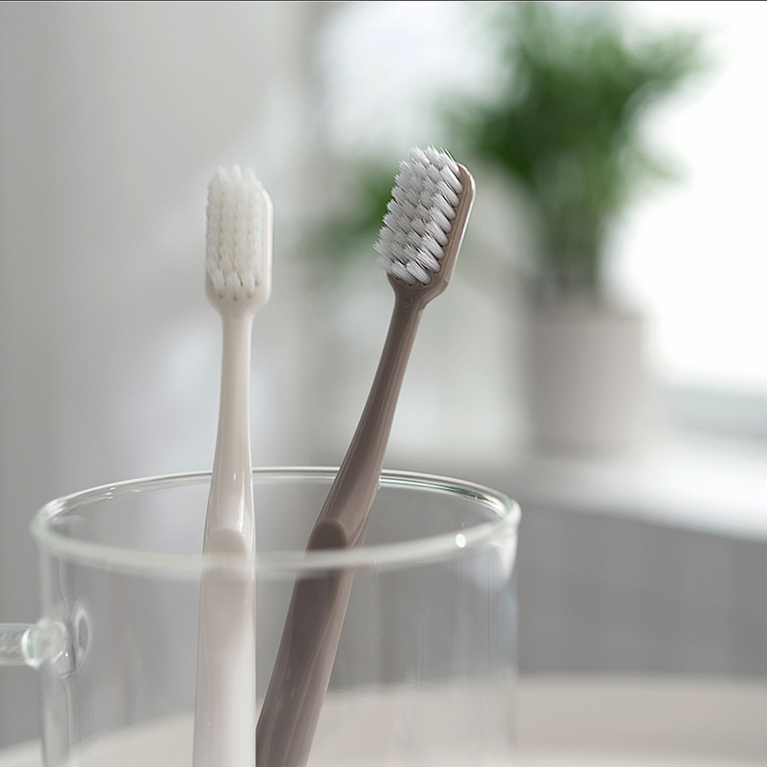 Set 4 Cây Bàn Chải Đánh Răng Lông Mềm Muji Nhật Bản