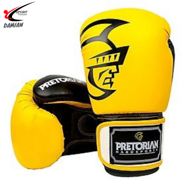 Găng tay Boxing Pretorian Classic ( Cặp )