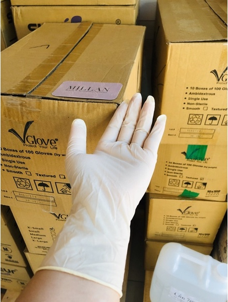 GĂNG TAY Y TẾ VGLOVE SIZE M