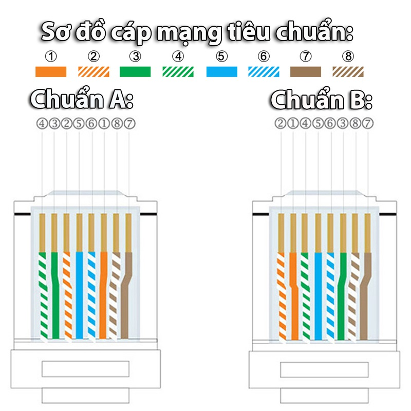 Hạt mạng RJ45 cho dây CAT6 (50 chiếc/túi) Ugreen 50962