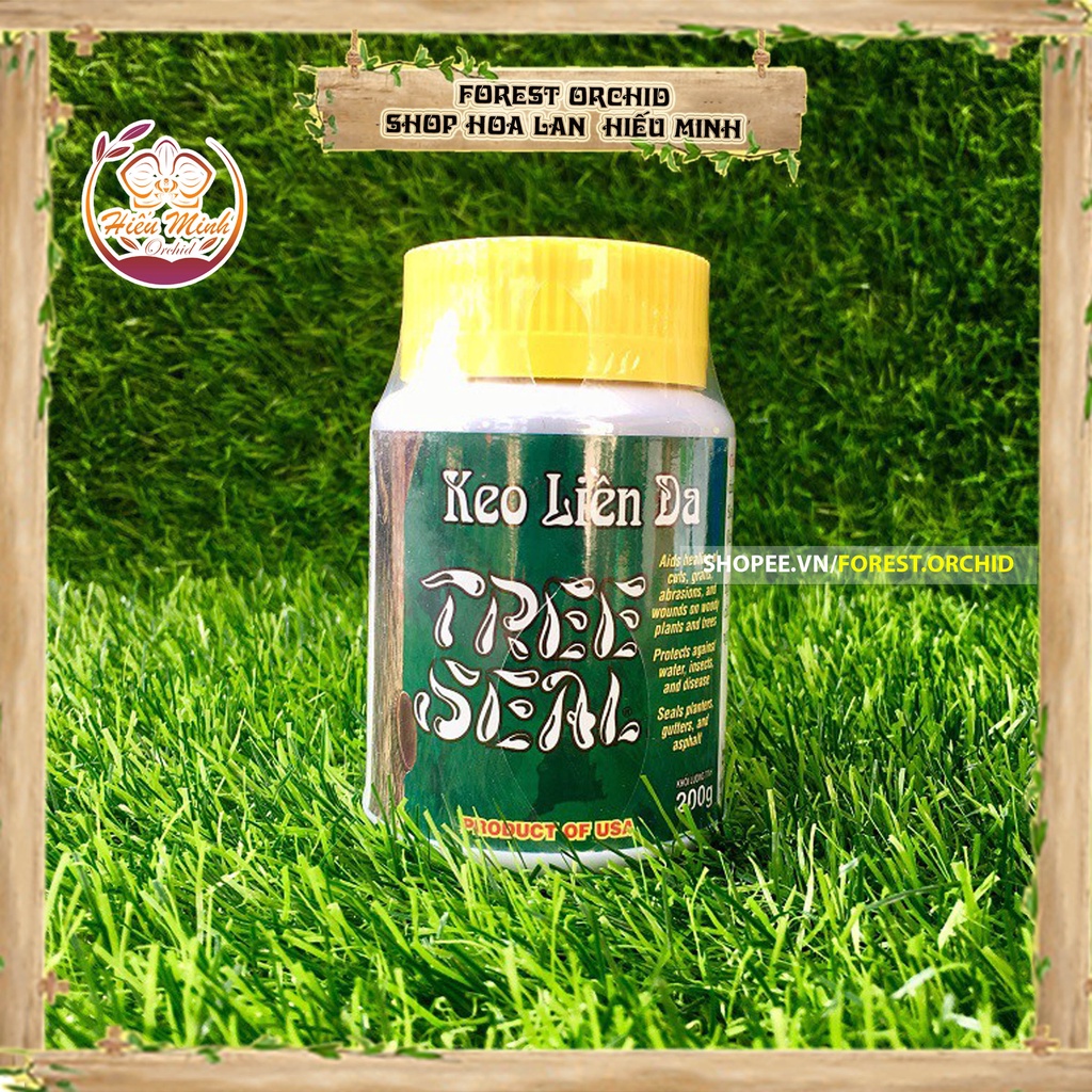 Keo liền sẹo Tree Seal USA Morrisons nhập khẩu