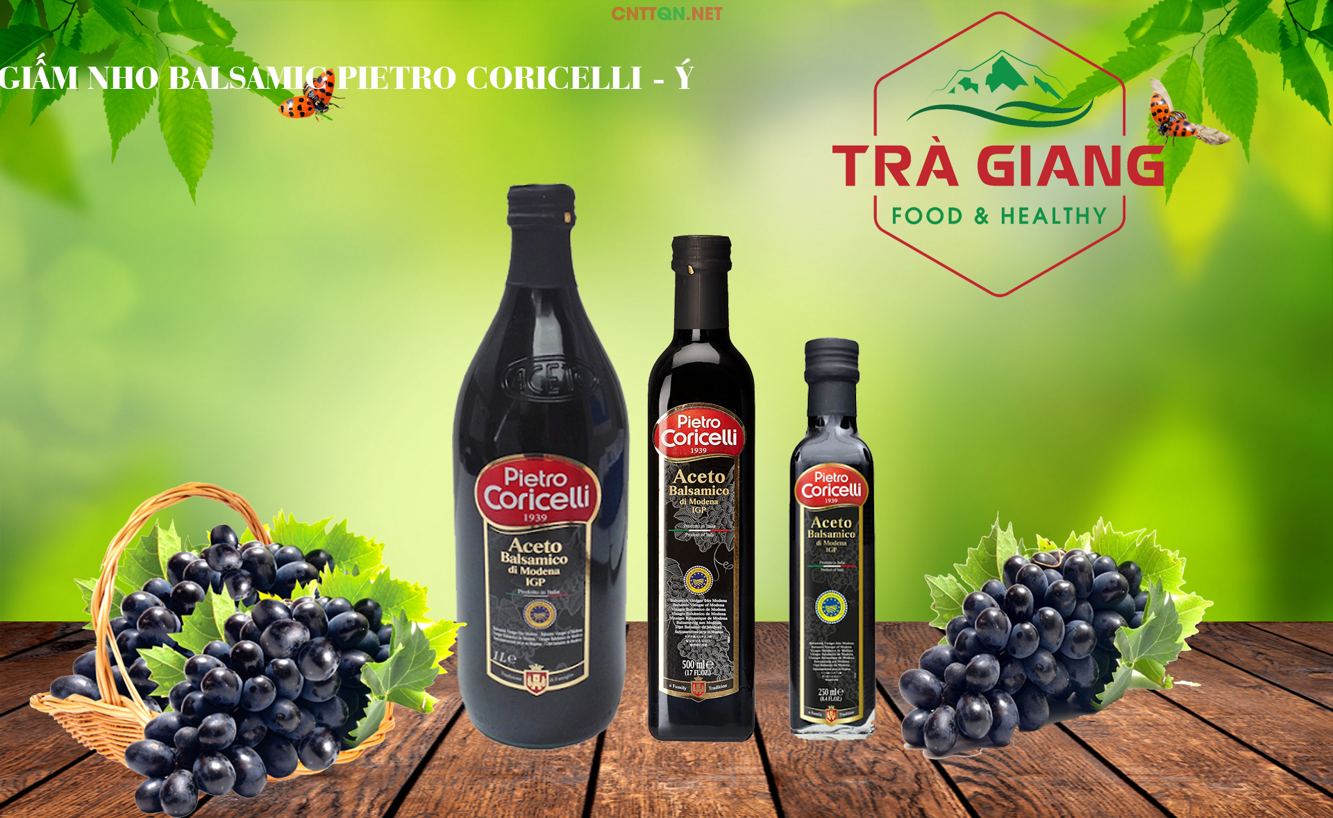 Giấm nho Balsamic Vinegar Pietro Coricelli 500ml