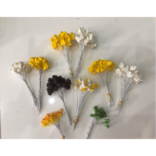 Nhuỵ lan- Nhuỵ hồ điệp, nhuỵ dendro