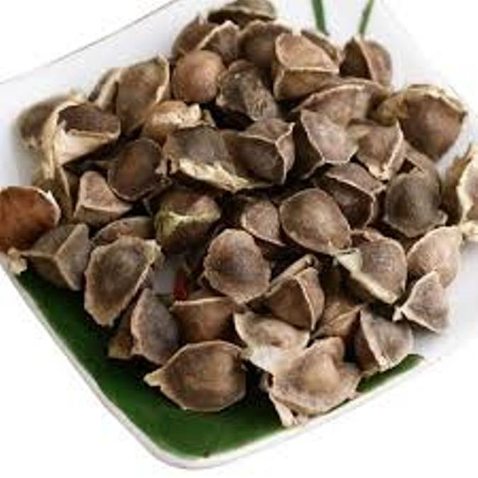 Hạt Giống Rau Chùm Ngây 100G (200Hạt)