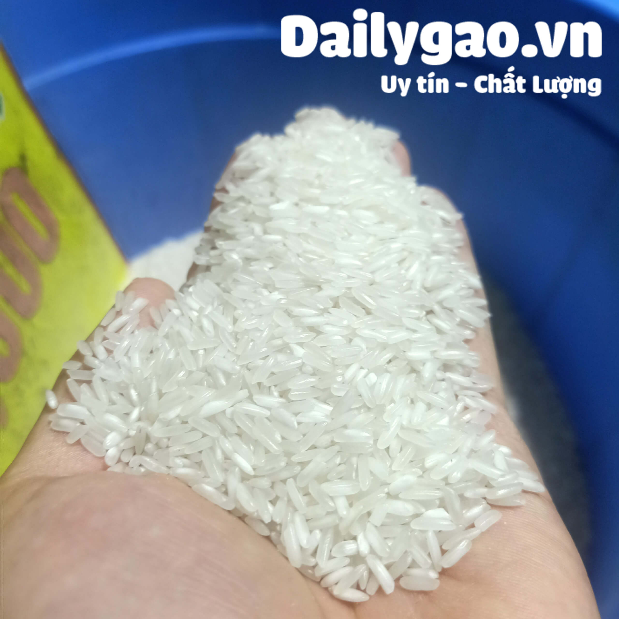 [HCM]Gạo Thơm lài - Dẻo vừa