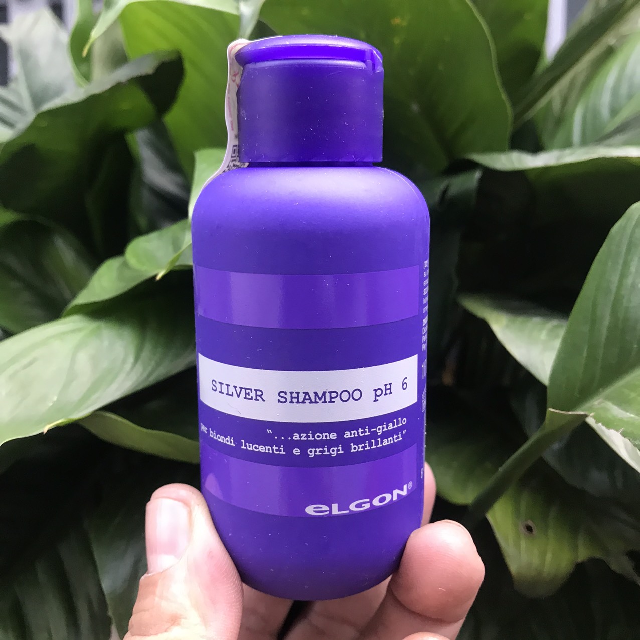 Dầu gội khử vàng dành cho tóc tẩy trắng tóc bạch kim Silver Shampoo Elgon 300ml
