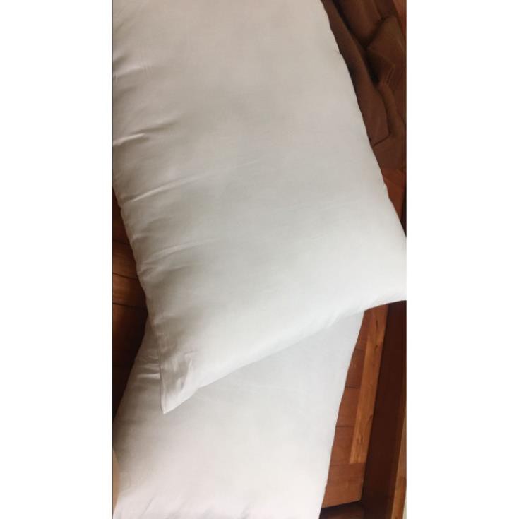 RUỘT GỐI ÉP HƠI CAO CẤP SÀI GÒN 40x60cm