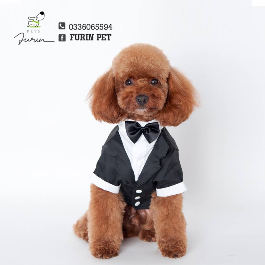 DOGGYDOLLY Costume  Áo vest Tuxedo cho chó