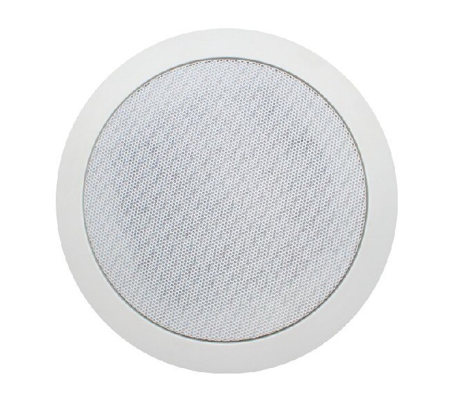 Loa âm tường Hi-Fi Ceiling Speaker R-916