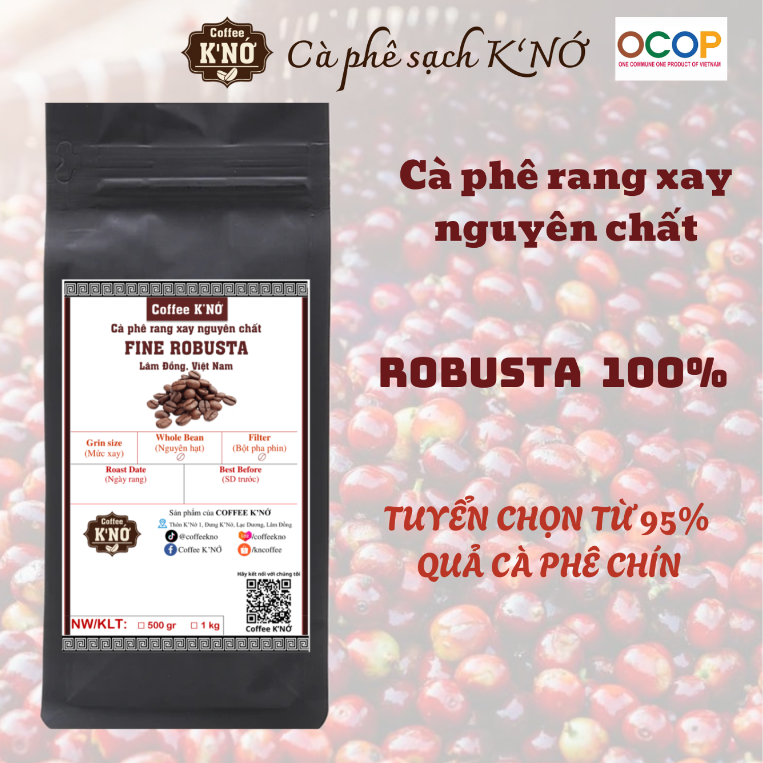 [500gr/1kg] Cà phê FINE ROBUSTA rang mộc, cà phê nguyên hạt rang xay cà phê bột pha phin pha máy, cafe sạch Lâm Đồng, Coffee K'Nớ.
