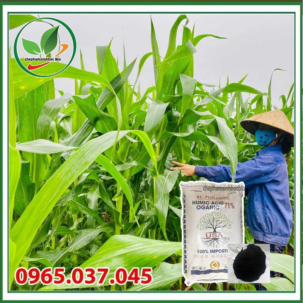 Phân bón Kali Humate dạng bột. Bao 20kg