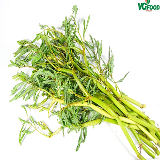 Hạt giống rau nhút gói 50 hạt - sthg