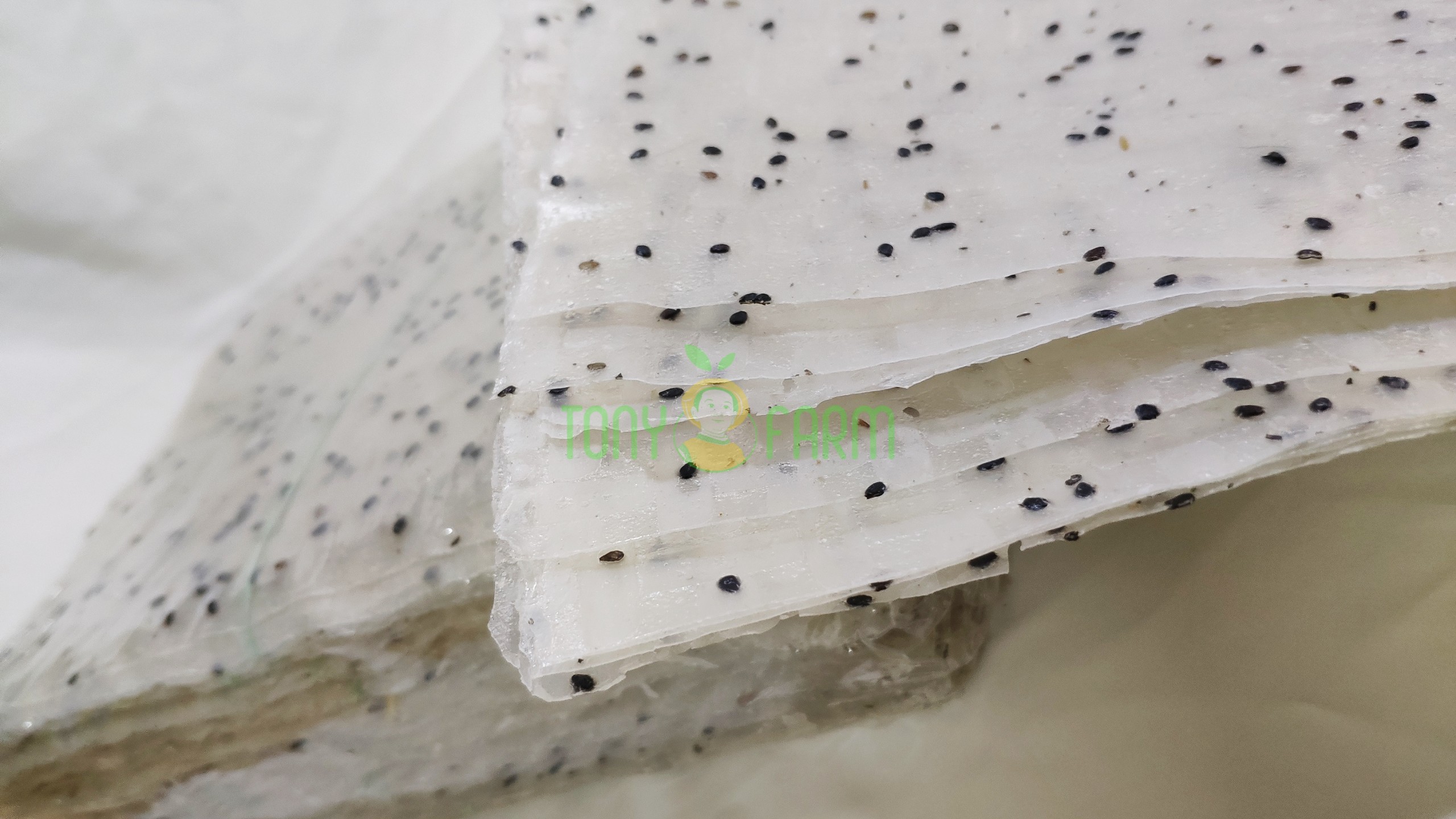 Bánh Tráng Mè Ninh Thuận - 1 ràng 100 cái