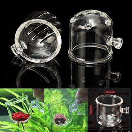 Cốc đựng giun, trùn chỉ thuỷ tinh