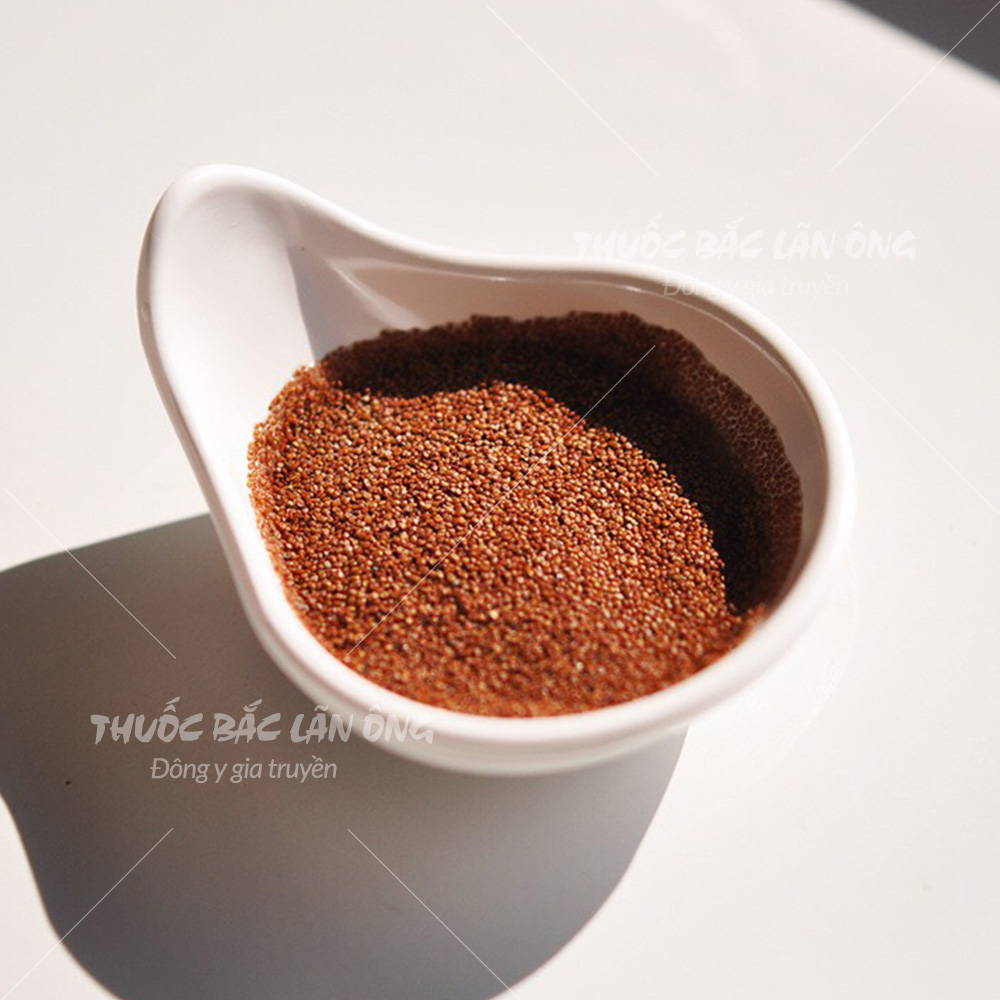 Hạt Ngũ Hoa 500g (Hạt Đinh Lịch,Ngũ Hoa Hạt)