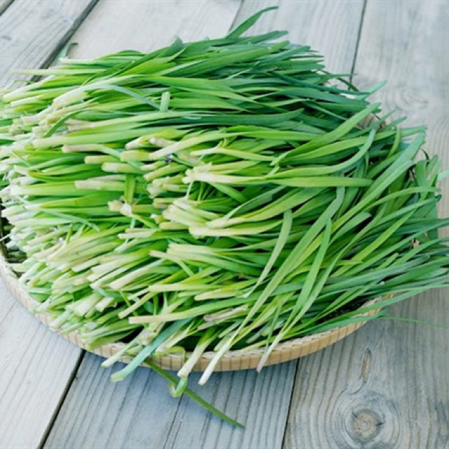 Hạt giống hẹ bông Rạng Đông