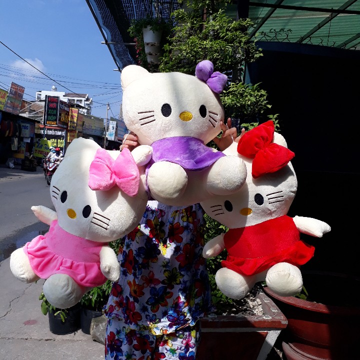 [HCM]MÈO KITTY NHỒI BÔNG 45CM