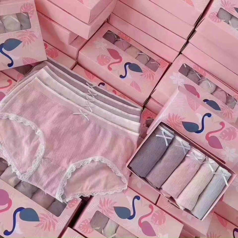 Hộp 5 quần lót nữ thiên nga, Quần chip thiên nga, quần chip nữ cute, cotton co giãn 4 chiều kháng khuẩn, ôm sát thoải mái hàng xuất nhật