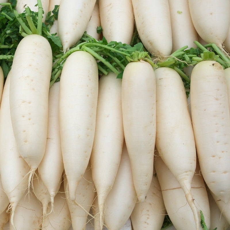 White Radish Seeds (Sugar Beet) - 20Gram Pack