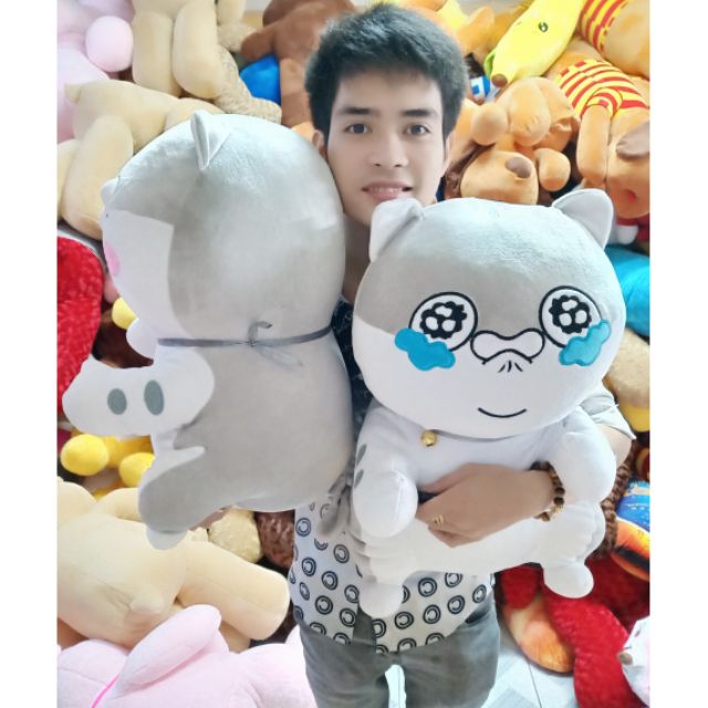 GẤU BÔNG MÈO AMY