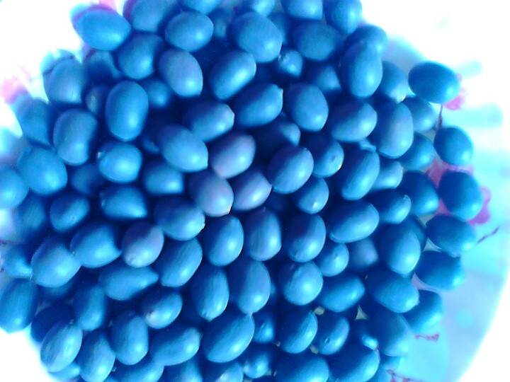 Hạt sen khô đen Đồng Tháp 500g