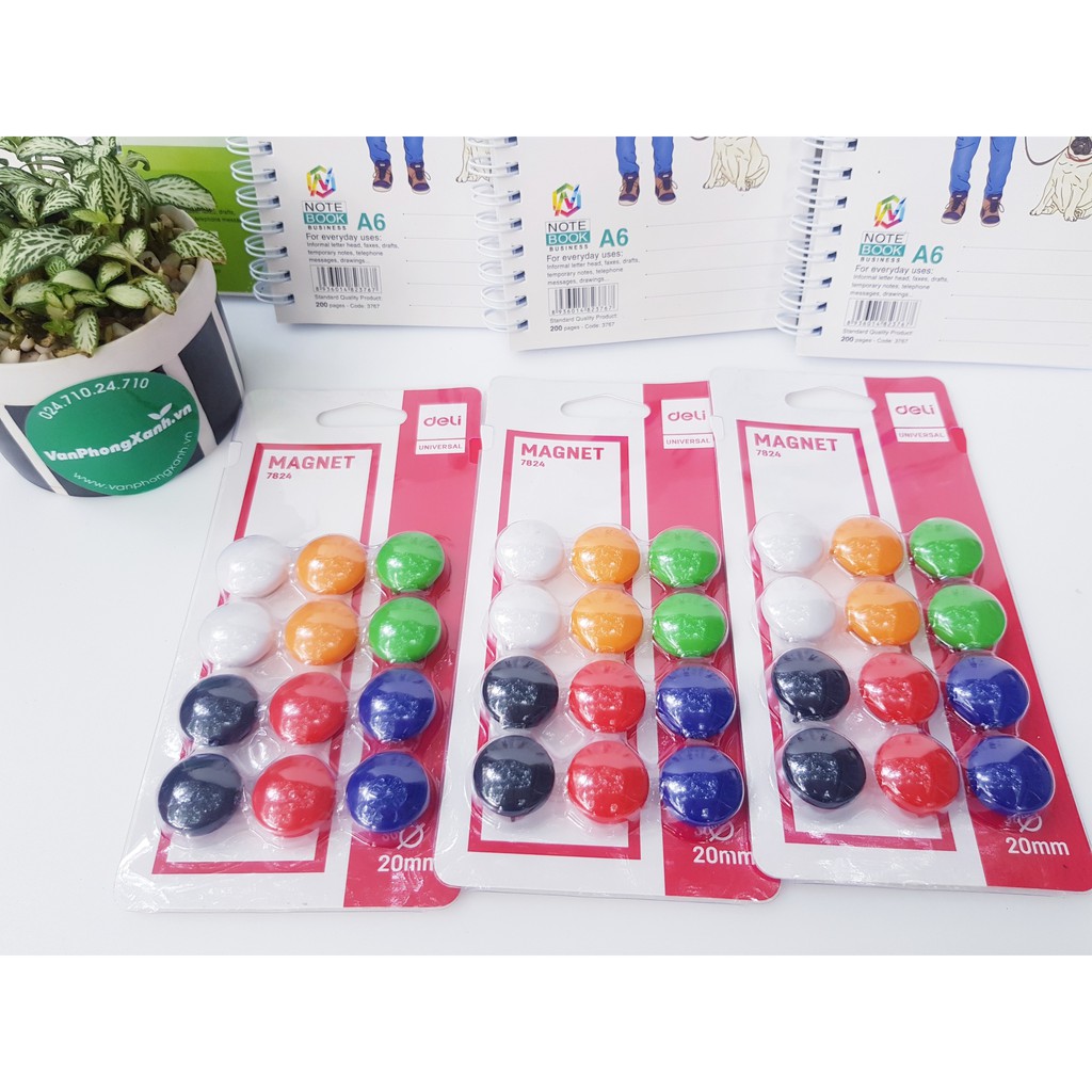 Nam Châm Vỉ Gắn Bảng 7824 (Vỉ 12 Cái - 6 Màu)