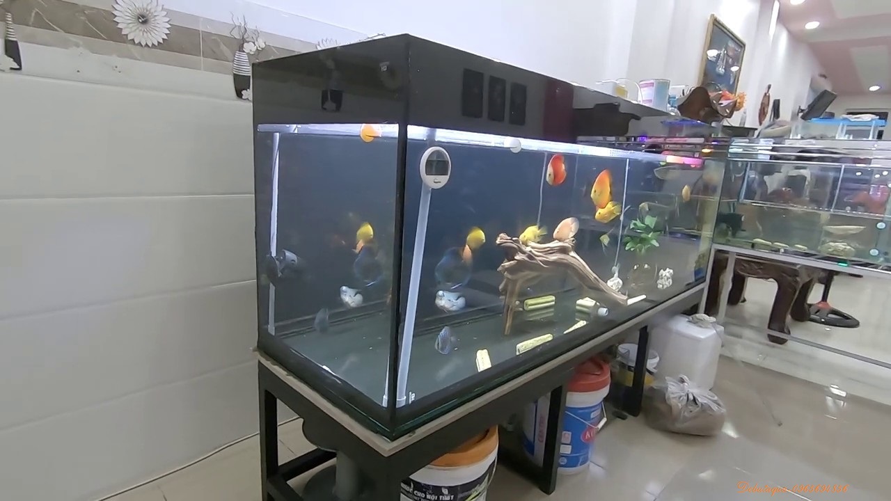 Decal đen dán hồ cá , decal khổ 60x100cm