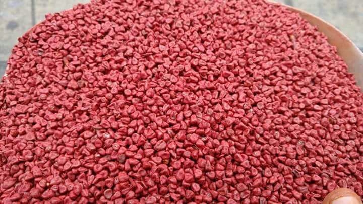 500g Hạt điều màu (hạt cà ri)