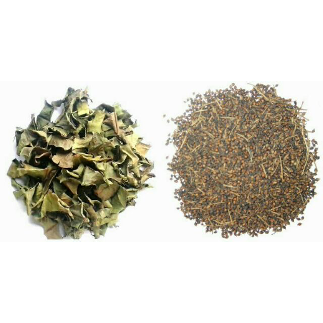 lá vối nếp sấy khô 1kg
