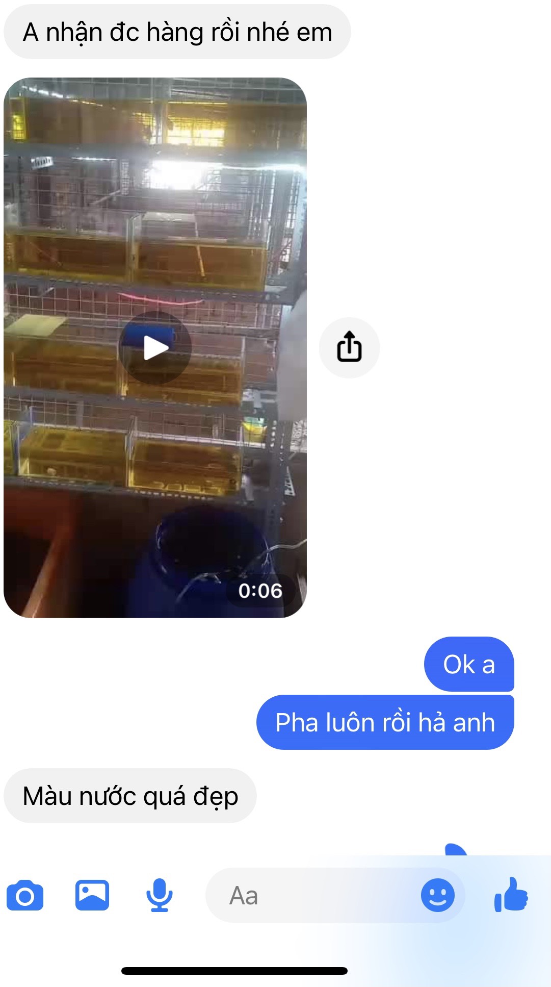 Bột lá bàng 5g - Dưỡng cá Betta, tăng màu sắc