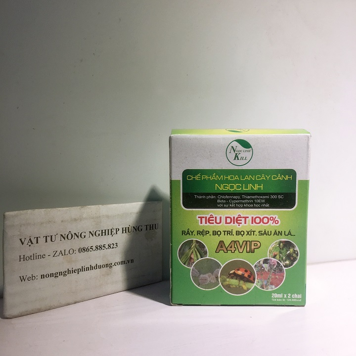 Ngọc Linh A4 Vip Tiêu diệt 100% côn trùng (#caycanh #vattucaycanh #phanbon)